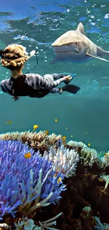 Diver explores vibrant coral reefs with a shark.