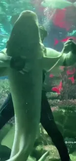 Diver holding a shark underwater with vibrant aqua and red hues.