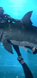 Diver riding a shark underwater with bubbles in the blue ocean.