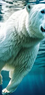 Polar bear diving underwater in clear blue ocean.