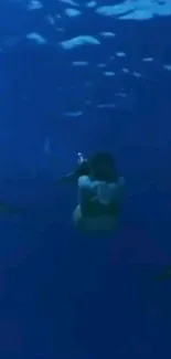 Person swimming with dolphins in deep blue ocean.