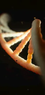Glowing DNA helix on a dark background.