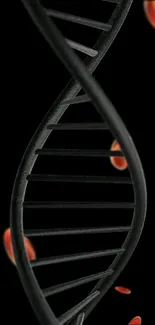 DNA helix design with red nodules on black background wallpaper.