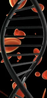 Black DNA helix with vibrant red cells on a dark background.