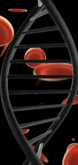 DNA helix surrounded by red blood cells on a black background.