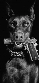 Black Doberman with gun and spiked collar, wallpaper design.