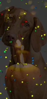 Dog with a glowing candle and colorful confetti background.