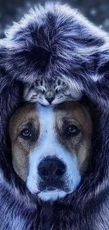 Dog wearing a fluffy hood with a cat on top, creating a cute illusion.