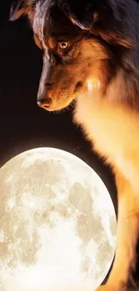 Dog gazes at a luminous moon in serene mobile wallpaper.