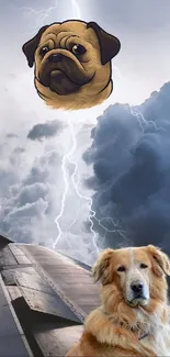 Surreal wallpaper with a dog and stormy sky.