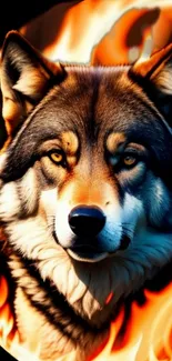 Dog Carnivore Dog Breed Live Wallpaper