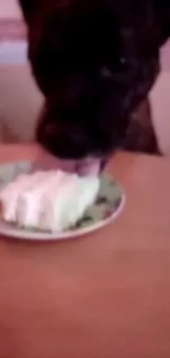 Dog licking a slice of cake from a floral plate on a cozy table.