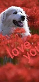 Dog Flower Plant Live Wallpaper