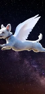 Dog with angel wings flying through space in a night sky wallpaper.