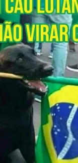 Dog holding a Brazilian flag in a lively street scene.