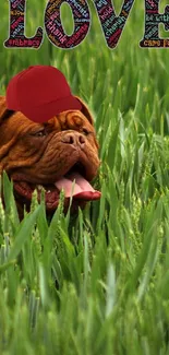 Brown dog in green field with 'LOVE' above.