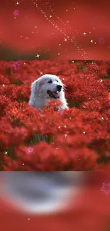 White dog in vibrant red flower field with starry sky.