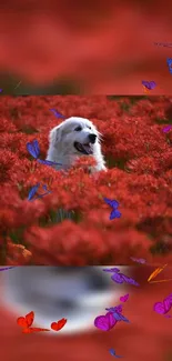 White dog in red flower field with butterflies.