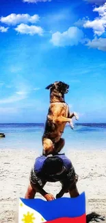 Dog performing on a beach with a blue sky and flag.