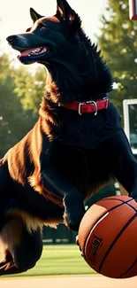 Dog dribbles basketball on outdoor court with trees in background.