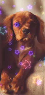 Dog Purple Carnivore Live Wallpaper