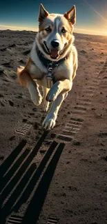 Dog running on moonlit sandy terrain under a distant sun.