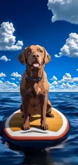 Brown dog on surfboard with blue ocean and clouds.