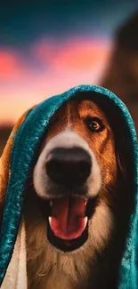 Joyful dog wrapped in teal blanket with nature background.