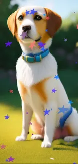 Cute dog with colorful stars on green grass background.