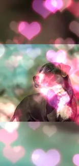 Dog with pink heart bokeh mobile wallpaper.