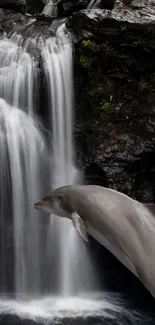 Dolphin jumps beside waterfall in nature.