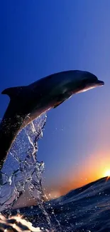 Dolphin leaps against a sunset backdrop, creating a stunning and serene view.