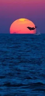 Dolphin leaping at sunset over the ocean.