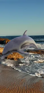 Dolphin jumping over waves on a serene beach.