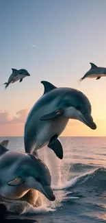 Dolphin Fish Bottlenose Dolphin Live Wallpaper