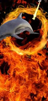 Dolphin jumping through a ring of fire with vibrant flames.