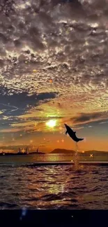 A dolphin leaps against a golden sunset sky over the ocean.