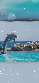 Dolphin leaping over turquoise ocean with rocks and clear sky.