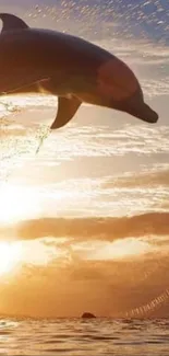 Dolphin leaps above ocean in sunset glow.