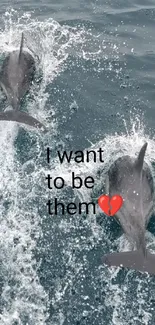 Dolphins swimming in the ocean with the text 'I want to be here'.