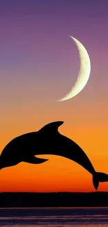 Silhouette of a dolphin against a sunset sky with a crescent moon.