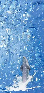 Dolphin leaping through bright blue waters, surrounded by splashes and bubbles.