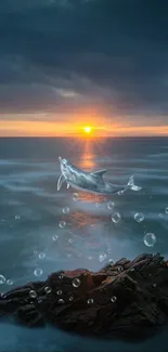 Dolphin leaping in ocean at sunrise with bubbles around rocks.