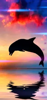 Dolphin silhouette jumping at sunset over water.