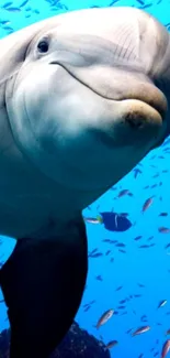 Dolphin swimming in vibrant blue ocean with fish around.