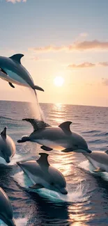 Playful dolphins leaping at sunset over the ocean