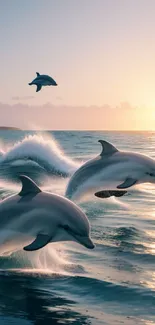 Dolphins leaping gracefully in sunset-lit ocean waves.