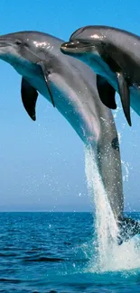 Two dolphins leaping in the ocean with a bright blue sky.