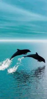 Two dolphins leaping over shimmering blue ocean waves.