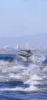 Dolphins leaping in ocean with a distant city skyline.